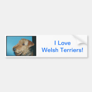 Welsh Terrier Bumpersticker