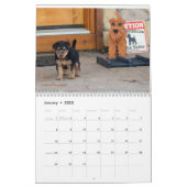 Welsh Terrier Calendar Kalender (Jan 2023)