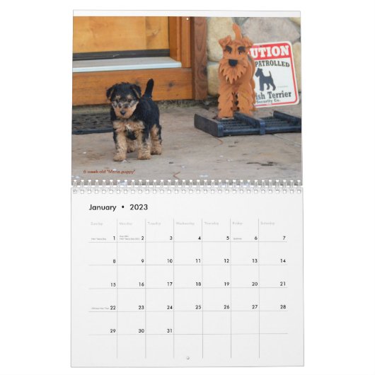 Welsh Terrier Calendar Kalender (Jan 2023)