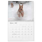 Welsh Terrier Calendar Kalender (Feb 2023)