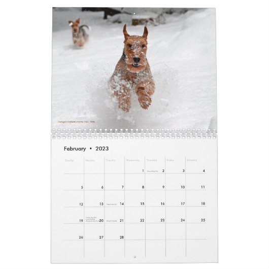 Welsh Terrier Calendar Kalender (Feb 2023)