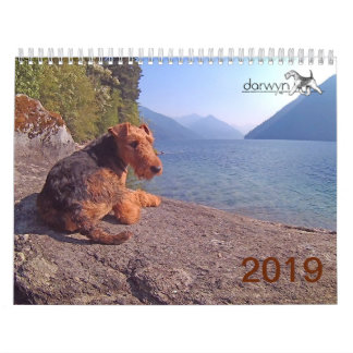 Welsh Terrier Calendar Kalender