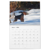 Welsh Terrier Calendar Kalender (Mar 2026)