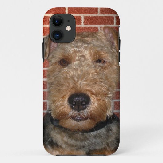 Welsh Terrier Case-Mate iPhone Case (Achterkant)
