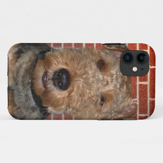 Welsh Terrier Case-Mate iPhone Case (Achterkant (horizontaal))