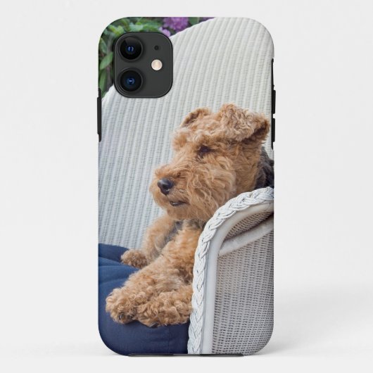 Welsh Terrier Case-Mate iPhone Case (Achterkant)