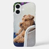 Welsh Terrier Case-Mate iPhone Case (Achterkant)
