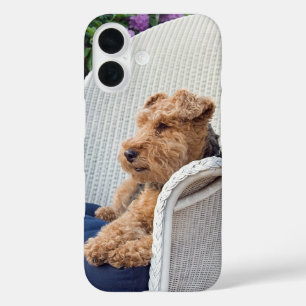 Welsh Terrier iPhone 16 Hoesje