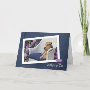 Welsh Terrier denkt aan jou Kaart