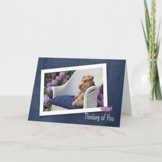 Welsh Terrier denkt aan jou Kaart (Voorkant)