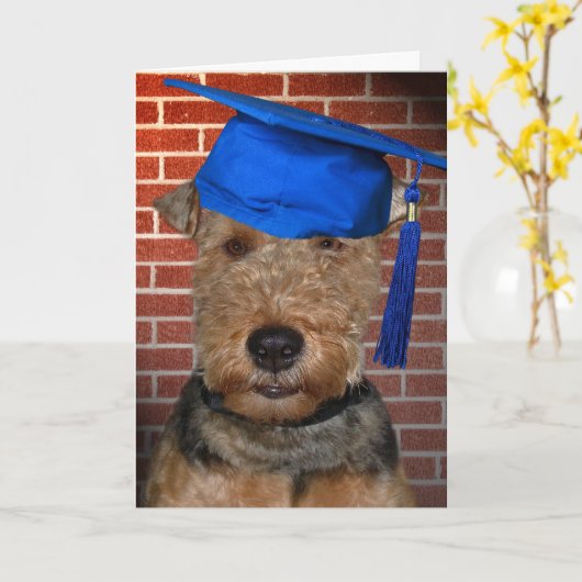 Welsh Terrier Dog afstuderen Kaart (Gele Bloem)