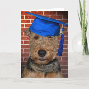 Welsh Terrier Dog afstuderen Kaart