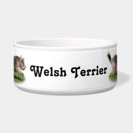Welsh Terrier Dog Bowl Voerbakje