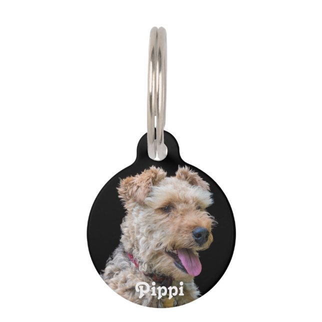 Welsh Terrier Dog Label Huisdierpenning (Voorkant)