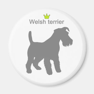 Welsh terrier g5 magneet