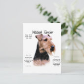 Welsh Terrier Geschiedenis; Over Welsh Terriers Briefkaart (Staand voorkant)