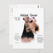 Welsh Terrier Geschiedenis; Over Welsh Terriers Briefkaart (Voorkant / Achterkant)