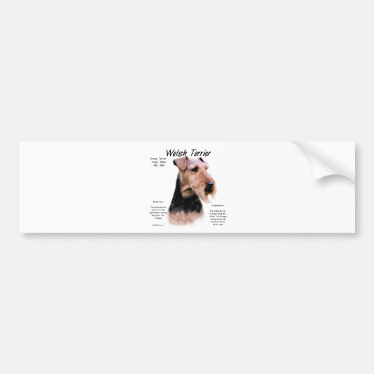 Welsh Terrier Geschiedenis; Over Welsh Terriers Bumpersticker (Voorkant)