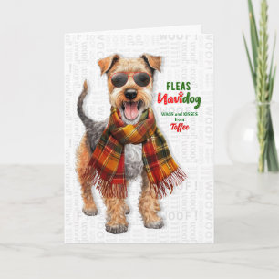 Welsh Terrier Hond Grappige Vlooien Navidog met Na Feestdagen Kaart