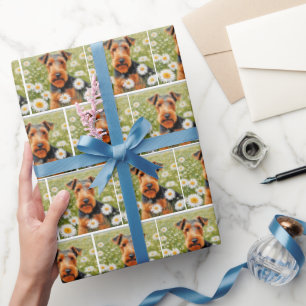 Welsh Terrier in Daisy Field Cadeaupapier