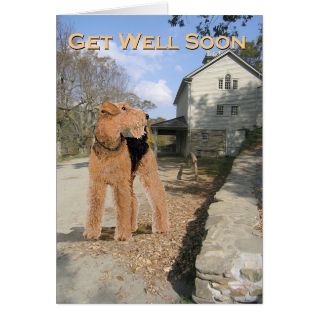 Welsh Terrier in de stal (Voorkant)