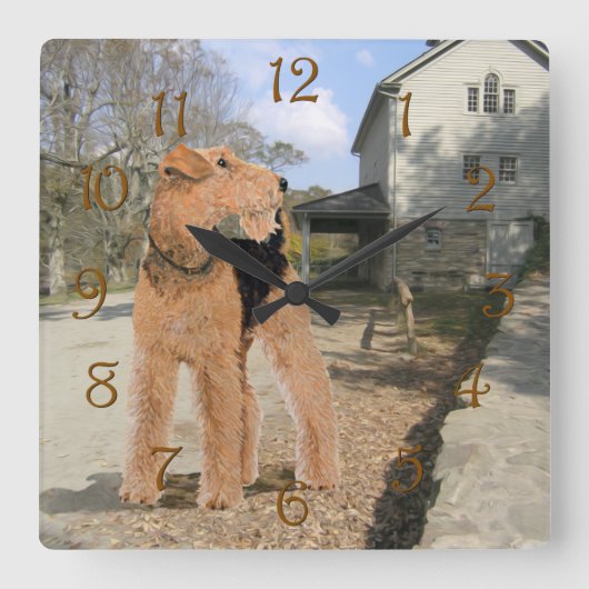 Welsh Terrier in de stal Vierkante Klok (Voorkant)
