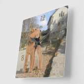 Welsh Terrier in de stal Vierkante Klok (Hoek)