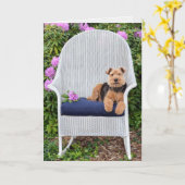 Welsh Terrier in de tuin Kaart (Gele Bloem)