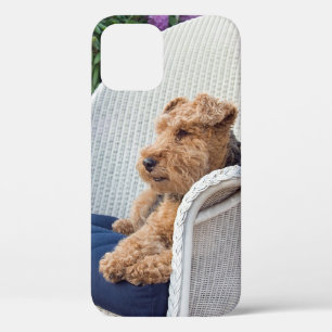 Welsh Terrier in Wicker-stoel Case-Mate iPhone Case