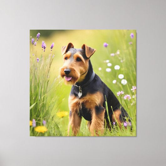Welsh Terrier in Wildflower Meadow Canvas Afdruk (Voorkant)