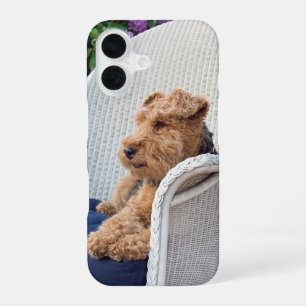 Welsh Terrier iPhone 16 Hoesje