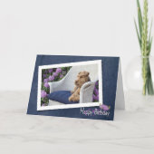 Welsh Terrier Kaart (Voorkant)