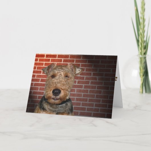 Welsh Terrier Kaart (Voorkant)