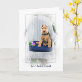 Welsh Terrier krijgt snel weer goed Kaart (Gele Bloem)