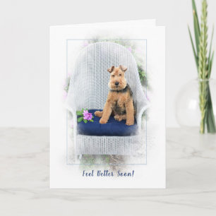 Welsh Terrier krijgt snel weer goed Kaart