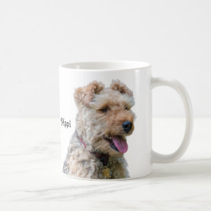 Welsh Terrier Mok