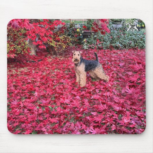 Welsh Terrier Muismat (Voorkant)