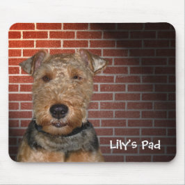 Welsh Terrier op Brick Wall Muismat