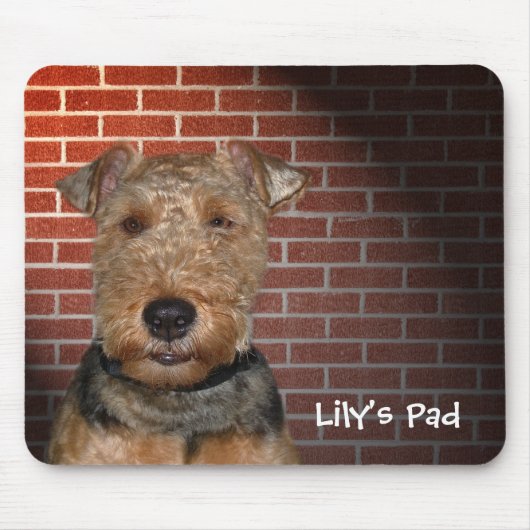 Welsh Terrier op Brick Wall Muismat (Voorkant)