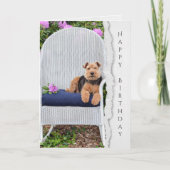 Welsh terrier op stoel voor verjaardag kaart (Voorkant)