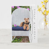 Welsh terrier op stoel voor verjaardag kaart (Gele Bloem)