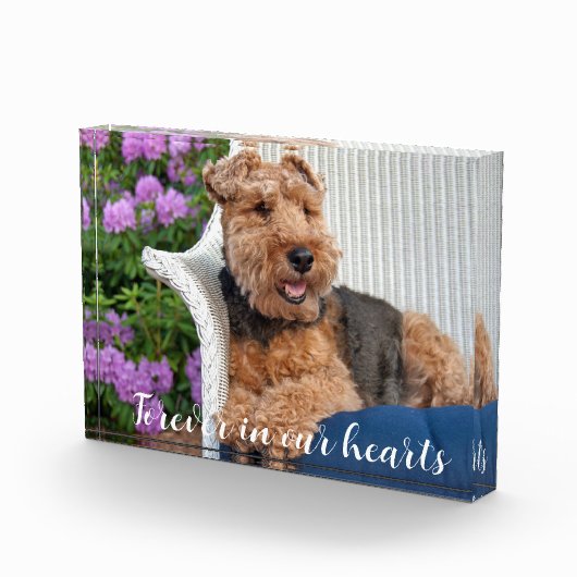 Welsh Terrier Pet Memorial Fotoblokken (Rechts)