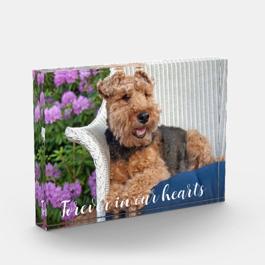 Welsh Terrier Pet Memorial Fotoblokken (Links)