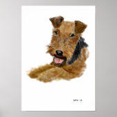 Welsh Terrier poster (Voorkant)