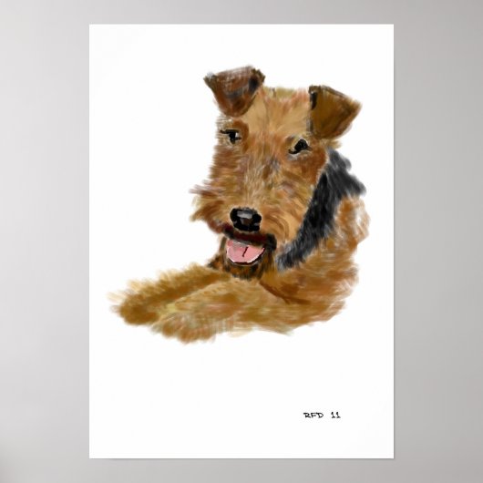 Welsh Terrier poster (Voorkant)