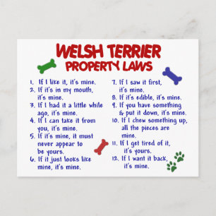 WELSH TERRIER Property Laws 2 Briefkaart