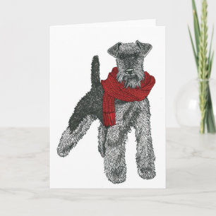 Welsh Terriër, rood. Kaart