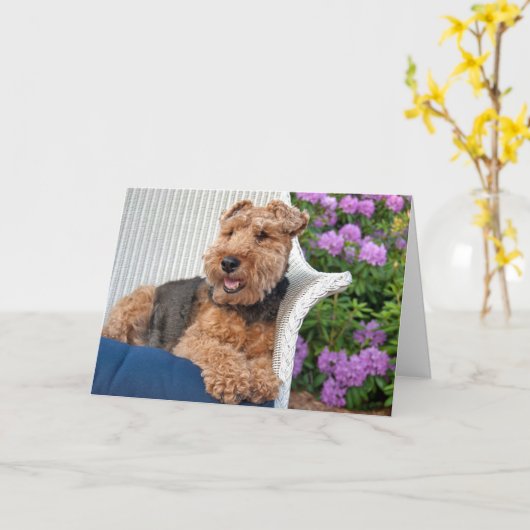 Welsh Terrier Verjaardag Kaart (Gele Bloem)