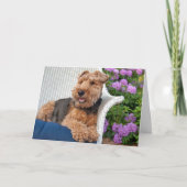 Welsh Terrier Verjaardag Kaart (Voorkant)