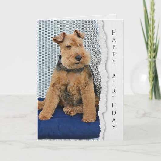Welsh Terrier-verjaardagskaart Kaart (Voorkant)